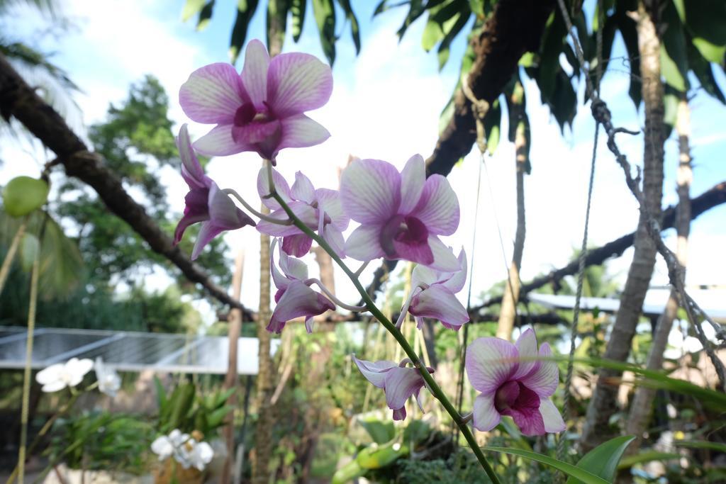Hotel Mr. Chuoi Bar And Hut Ko Phra Thong Zewnętrze zdjęcie